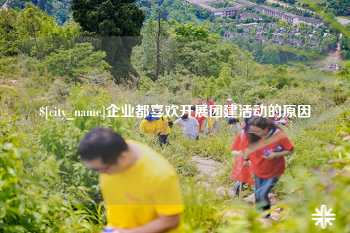 阿里企业都喜欢开展团建活动的原因